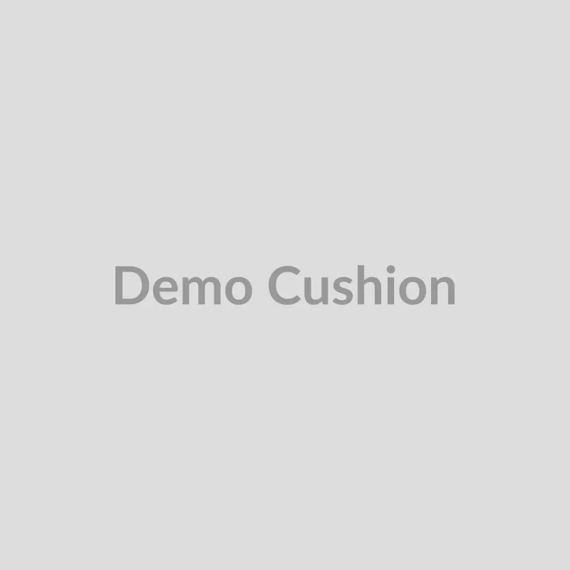Demo Cushion (made-up)